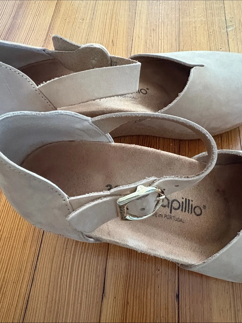 Papillio barely worn